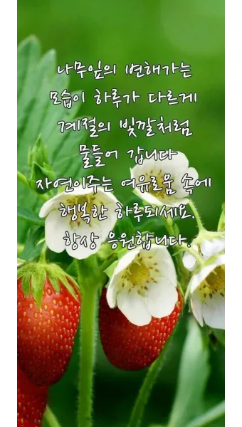 6월 인사말 모음 상황별 이미지 일러스트_22