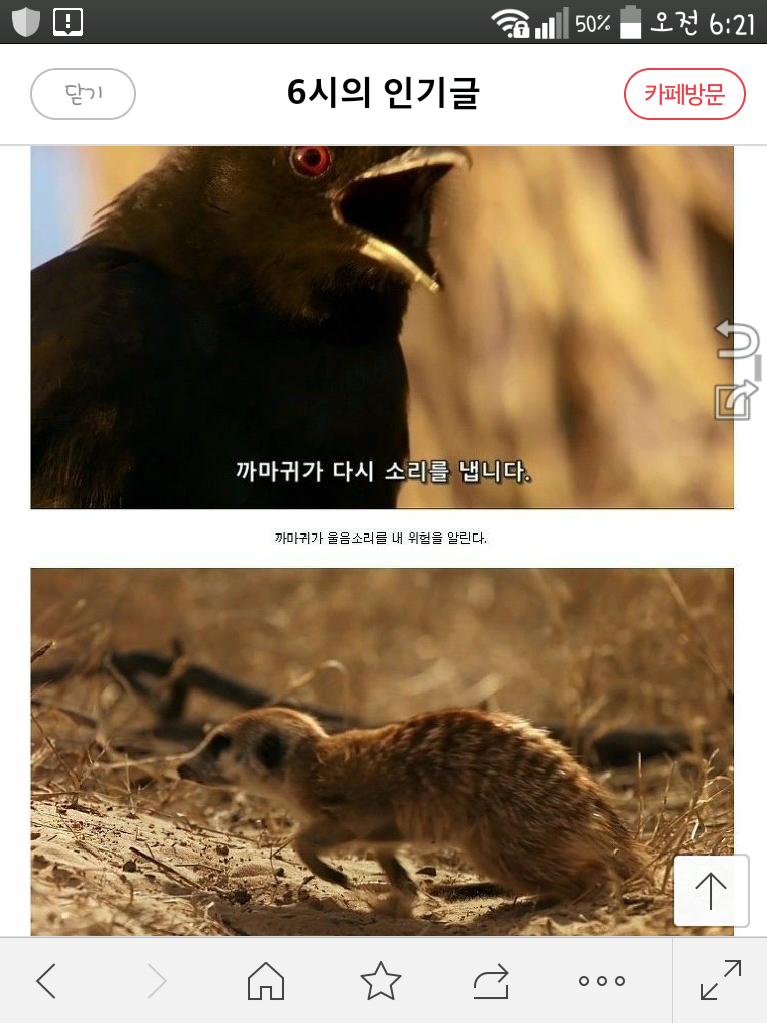  웃긴짤방ㅣ참다못한 대학생의 센스