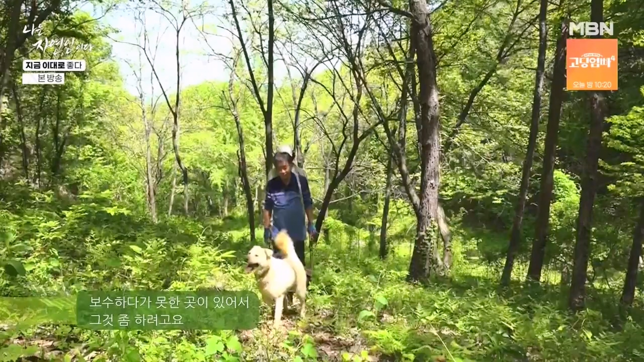 나는 자연인이다.E605.240516p-NEXT.mp4_20240516_194929.603.jpg