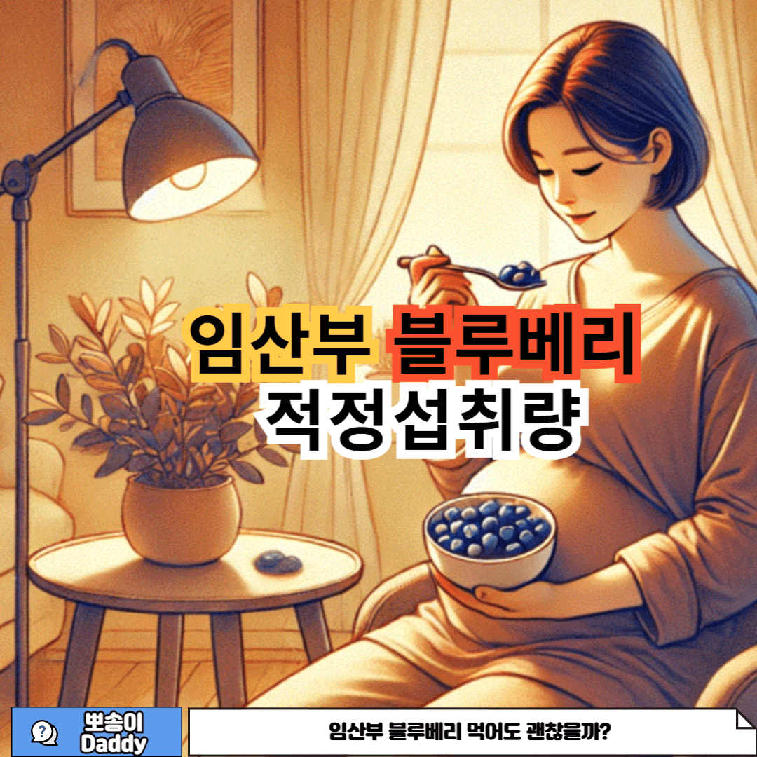 임산부 블루베리 하루 적정 섭취량에 대한 사진