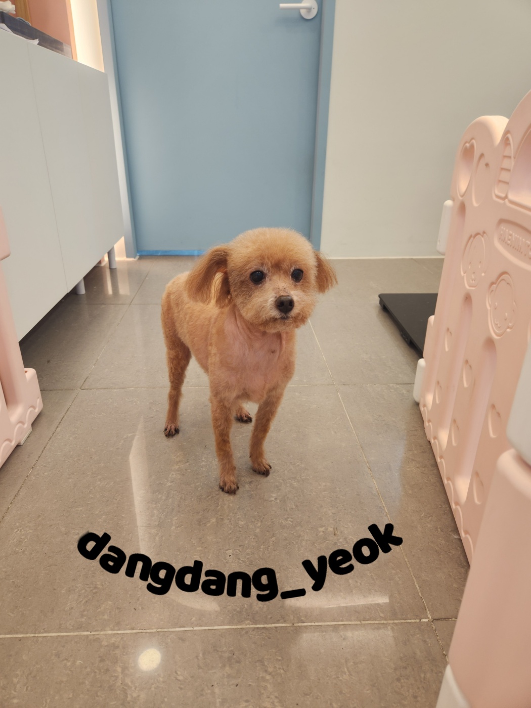 보리미용실 이미지
