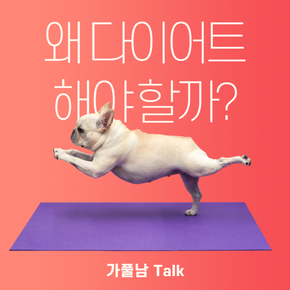  중국어 공부, 다이어트는 왜 해야 할까? 【为什么要减肥？】- 가풀남 Talk