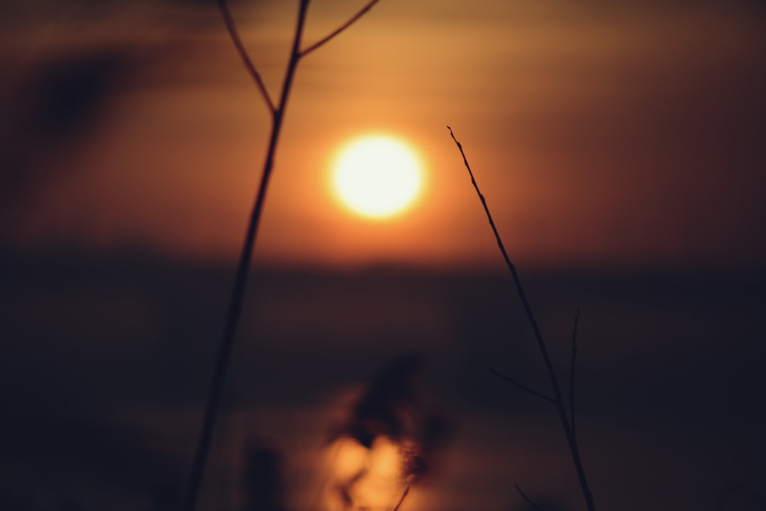 Sunblock