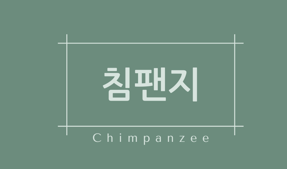 침팬지(Chimpanzee)