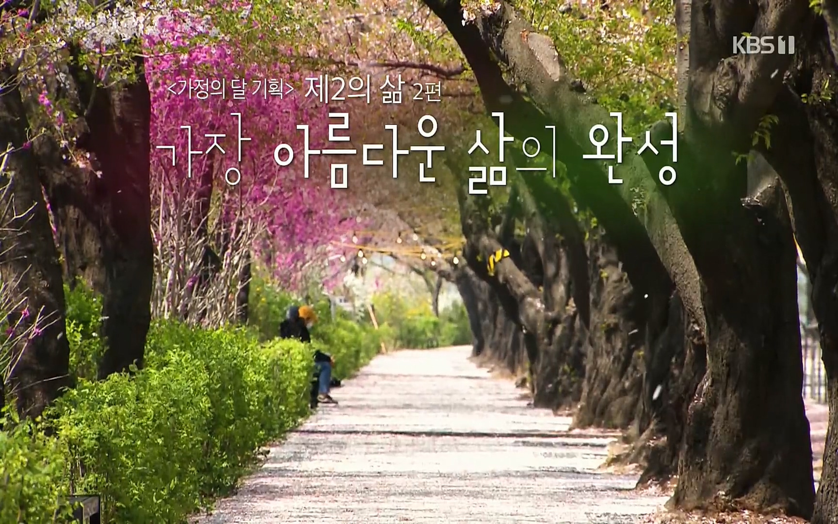 생로병사의 비밀.E820.220511p.H264-F1RST.mp4_20220512_185834.337.jpg