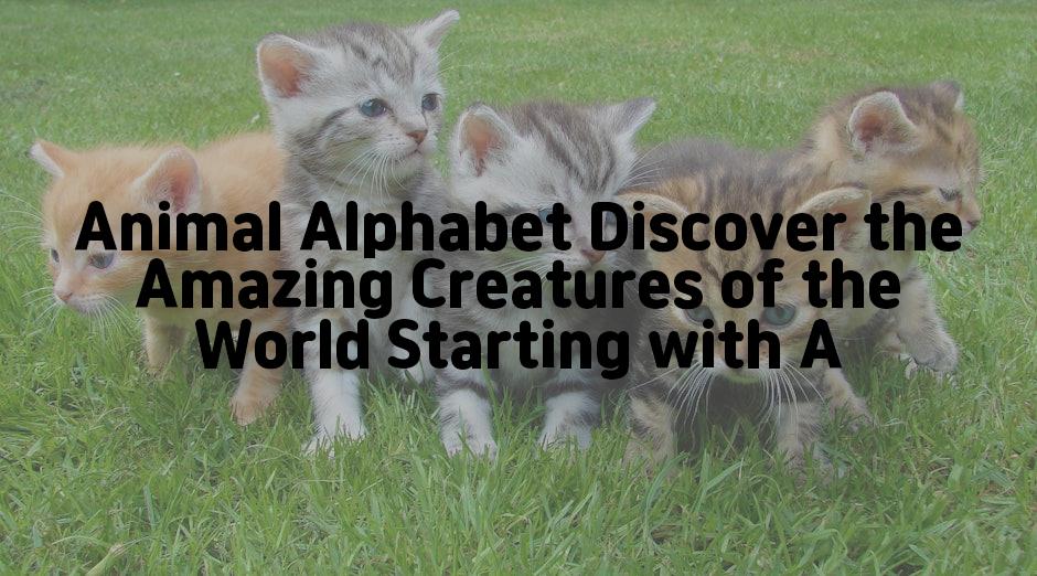 Animal Alphabet Discover the Amazing Creatures of the World Starting with A
