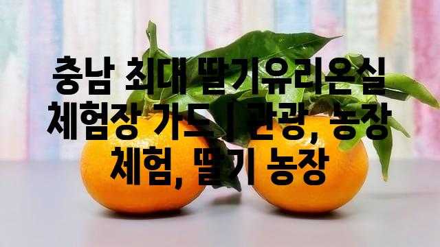 랜덤151