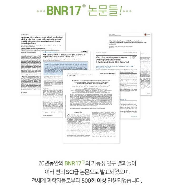 BNR17-논문
