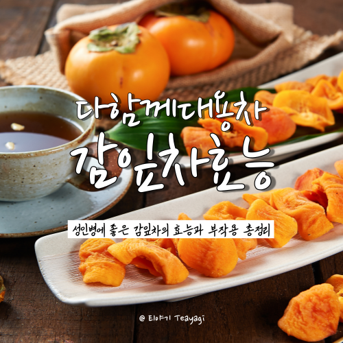  감잎차의 효능과 부작용 총정리 (feat. 감잎차 마시는 방법)