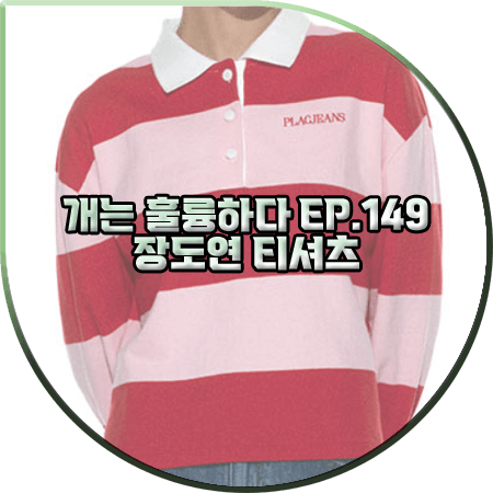  개는 훌륭하다 149회 장도연 티셔츠 :: 플랙 레드&핑크 스트라이프 카라티 : 장도연 패션