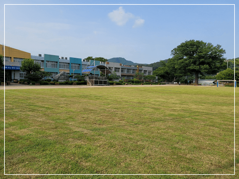 천연잔디로-조성된-학교-운동장-사진