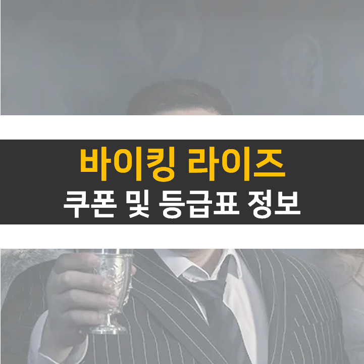  바이킹 라이즈 쿠폰 5종 및 등급표 0티어 영웅 정보 공략