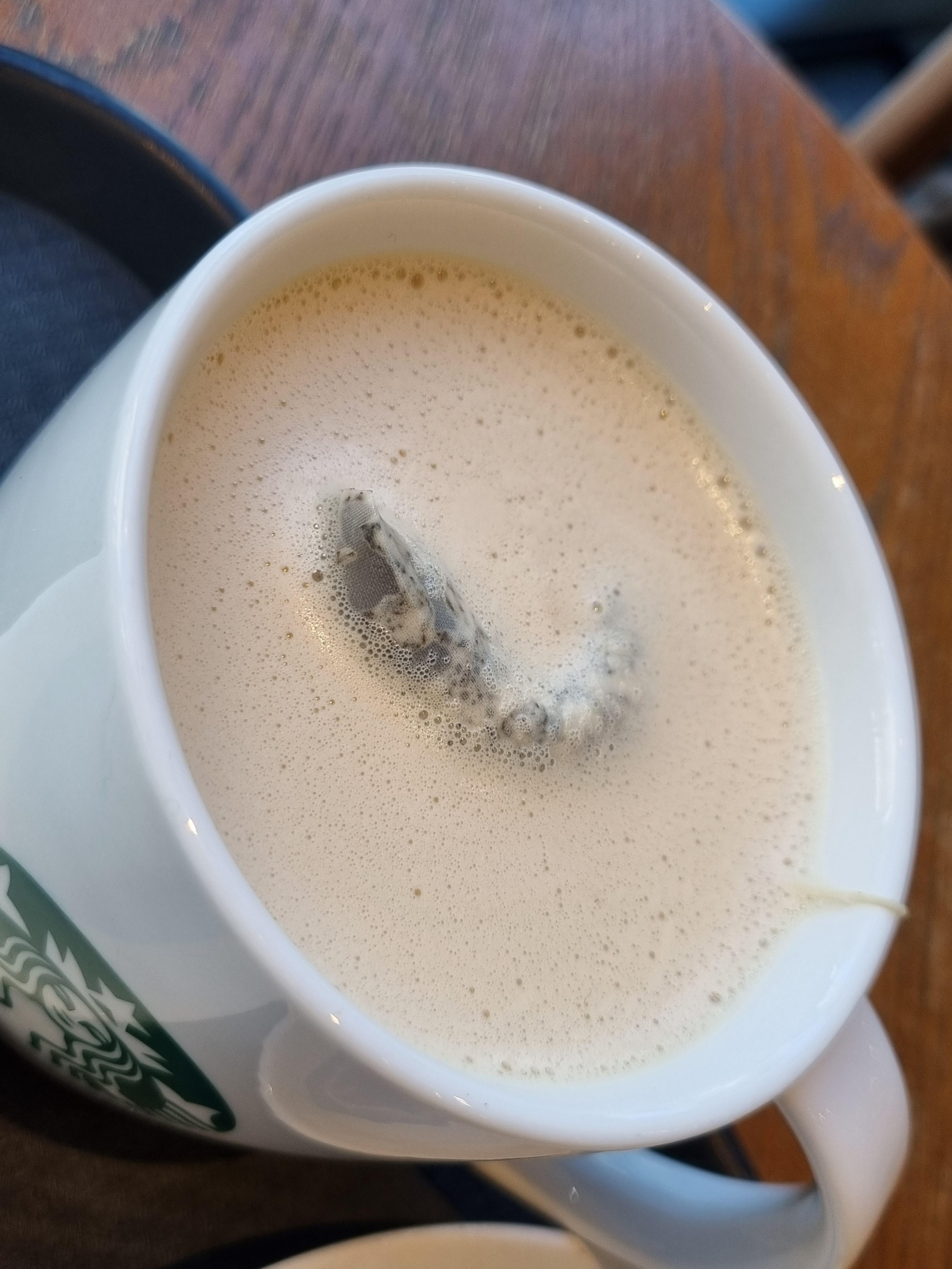 스타벅스 밀크티