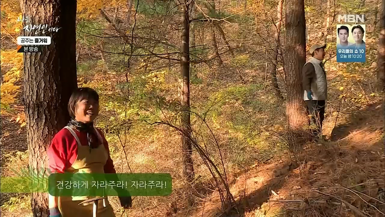 나는 자연인이다.E528.221117p.H264-F1RST.mp4_20221119_185621.553.jpg