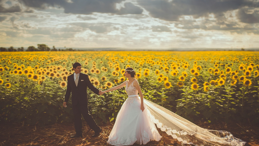 해바라기 밭에서 결혼식 사진을 찍는 신랑 신부