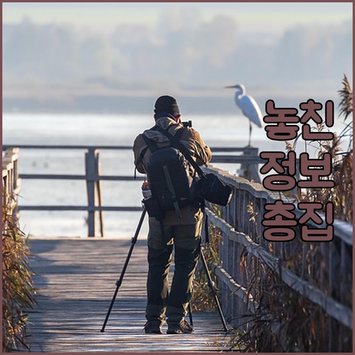 좁은 집 구세주 오늘의집 캐리어 냉장