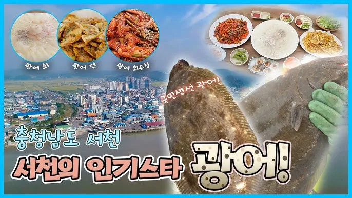서천 광어 도미 축제에서 제철 맛 체험 완벽 여행 가이드_2