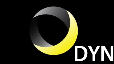 DYN DNS 로고