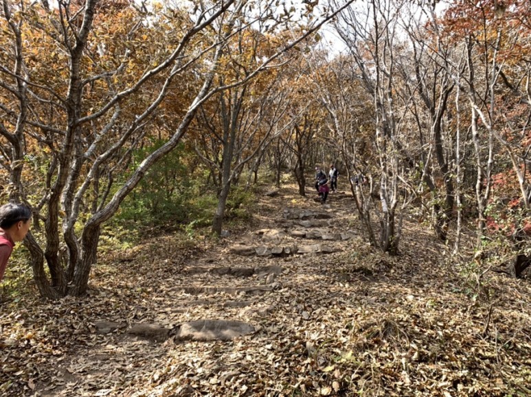 오서산 최단코스 [BAC 100대명산 / 보령 오서산 최단코스] 오서산자연휴양림 ~ 월정사 76