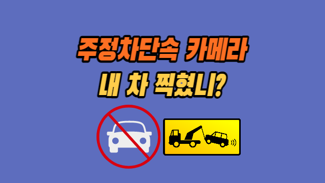  주정차단속 카메라 촬영 거리·실시간 조회·단속알림서비스 신청법 (과태료 업데이트)