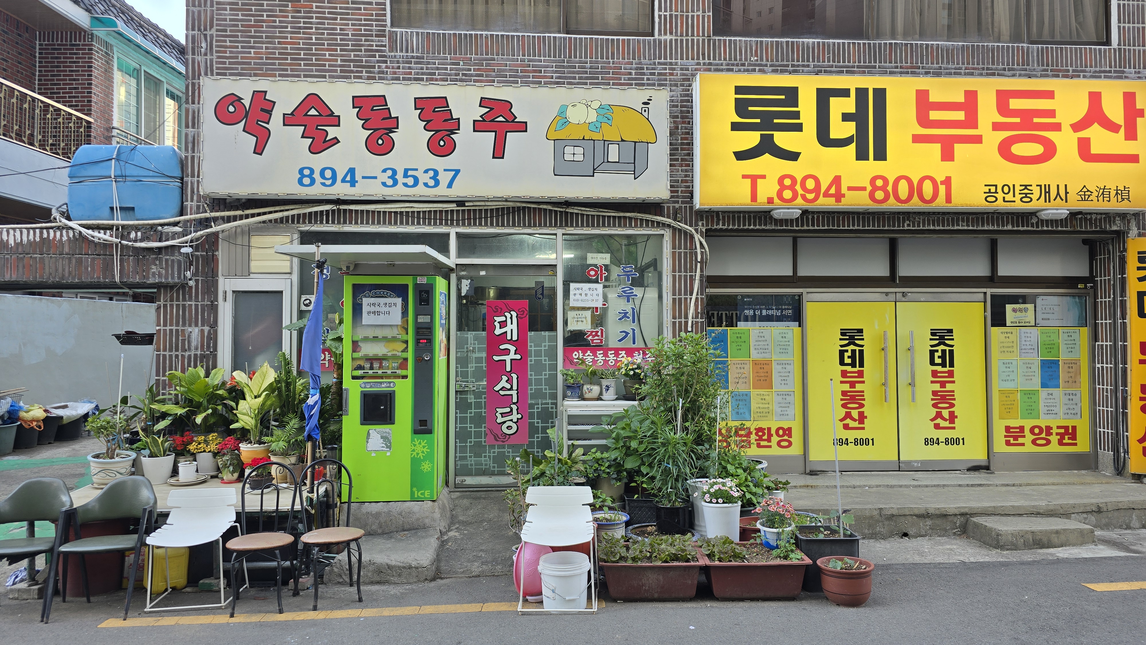 약술동동주 사진 2