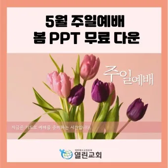 봄 주일예배 ppt 배경화면 꽃 이미지_11