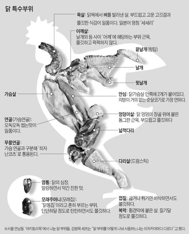  닭고기 특수부위 염통 근위 연골 닭목살 알아보자