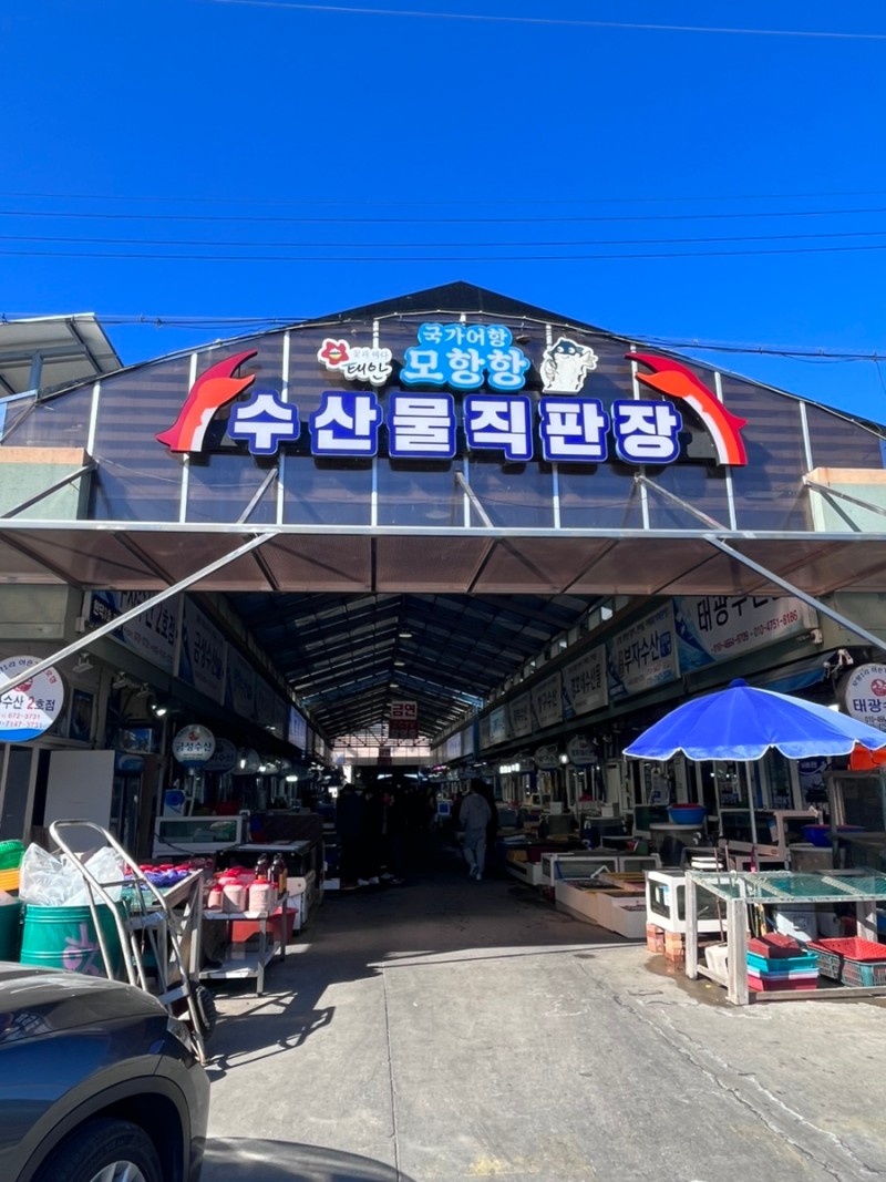 모항항 어시장