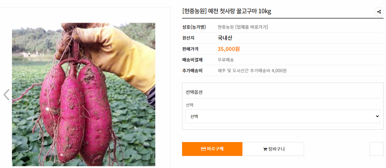 고향사랑기부제-꿀팁