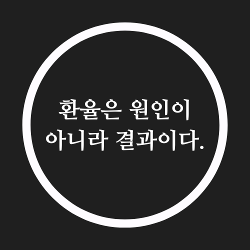 환율 원인 결과 한국 외환보유고 경제호황