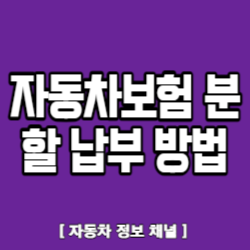 자동차보험 분할 납부 방법
