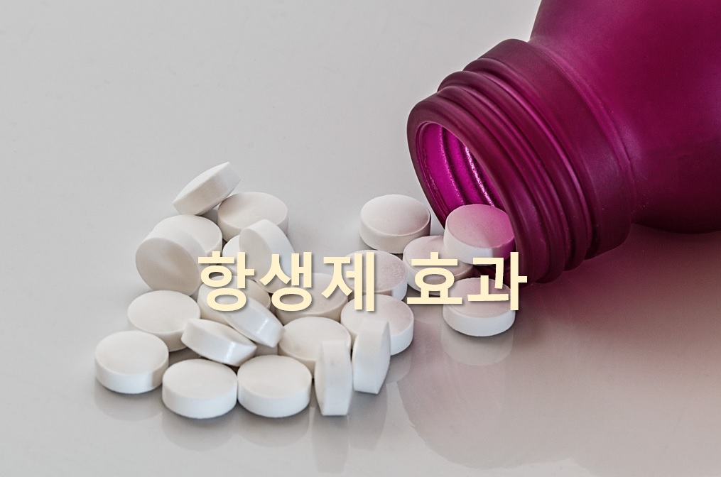  항생제 효과가 있는 질환과 없는 질환