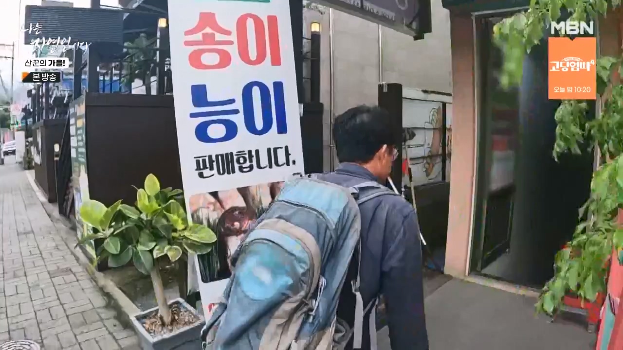 나는 자연인이다.E574.231005p-NEXT.mp4_20231005_200557.638.jpg