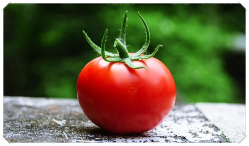 피부에-좋은-음식-토마토-사진