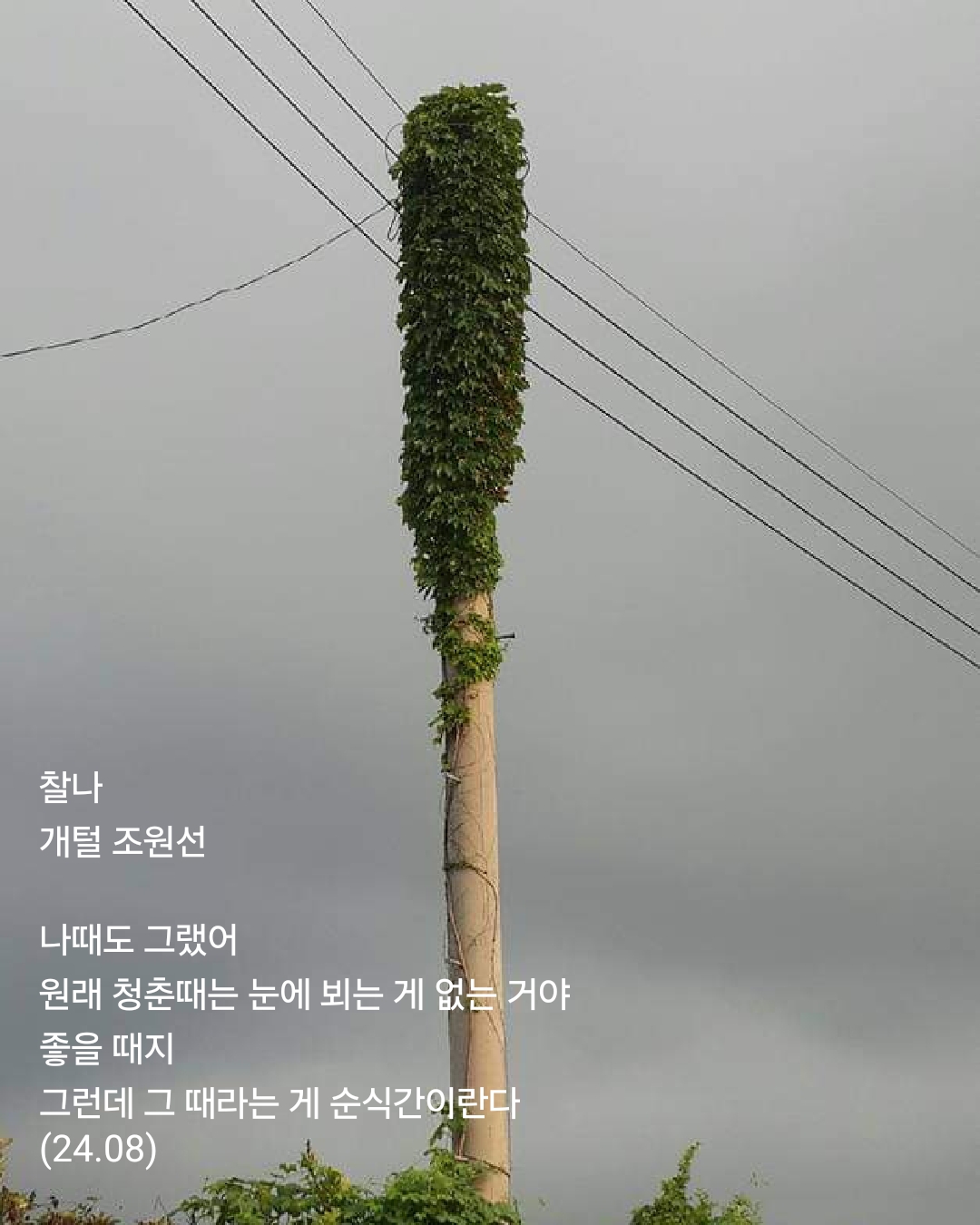찰나 이미지