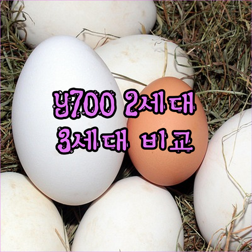 Legion Tab Y700 2세대 