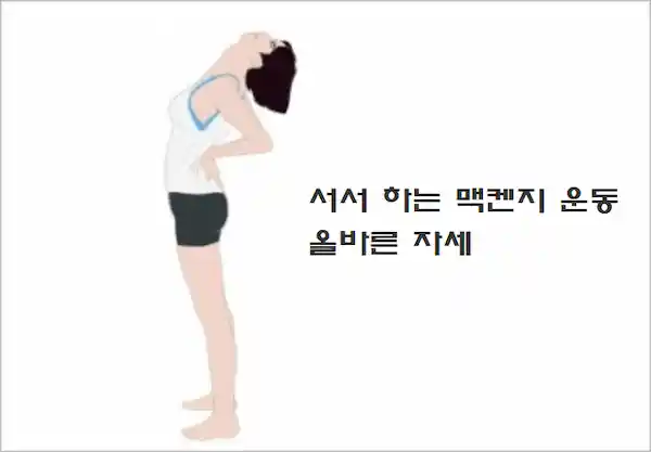 서서하는 맥켄지 올바른 자세