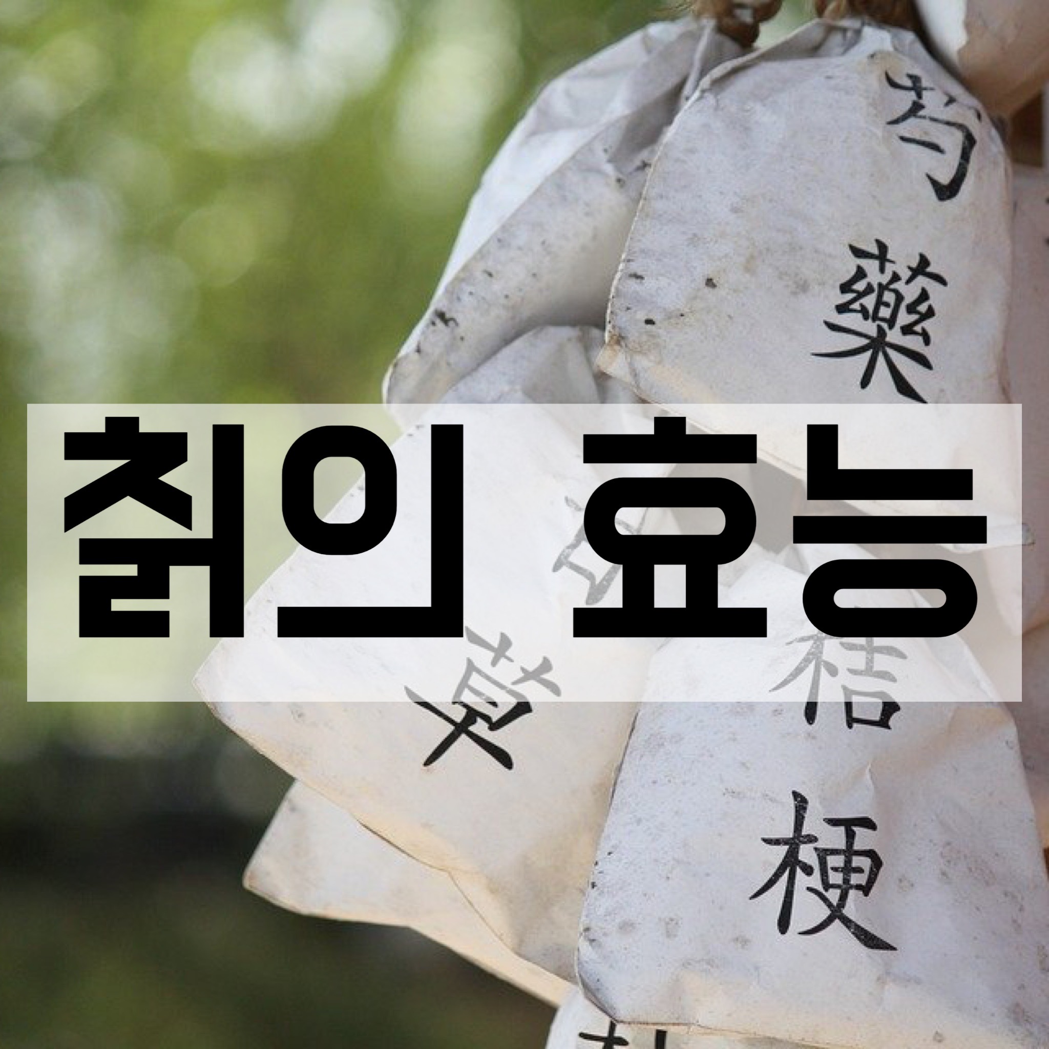  칡의 효능