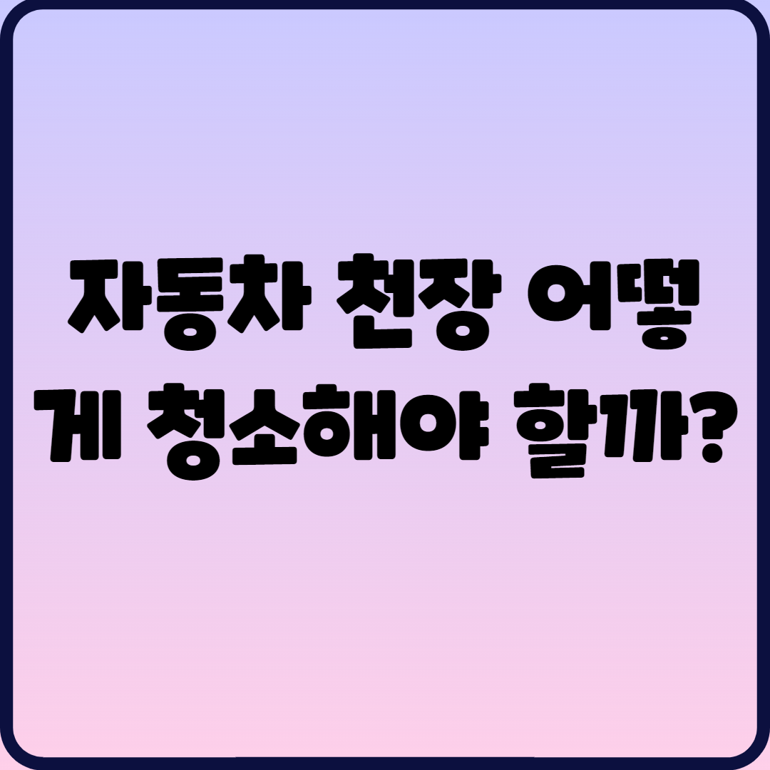  자동차 천장 어떻게 청소해야 할까?
