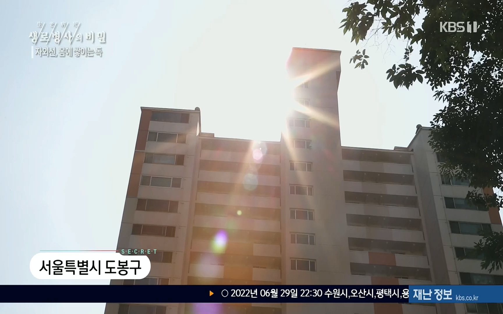 생로병사의 비밀.E824.220629p.H264-F1RST.mp4_20220630_205913.696.jpg