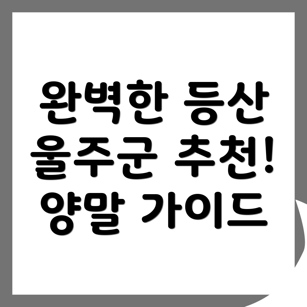 등산양말