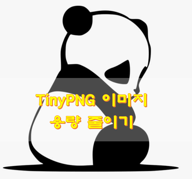 TinyPNG 이미지 용량 줄이는 프로그램
