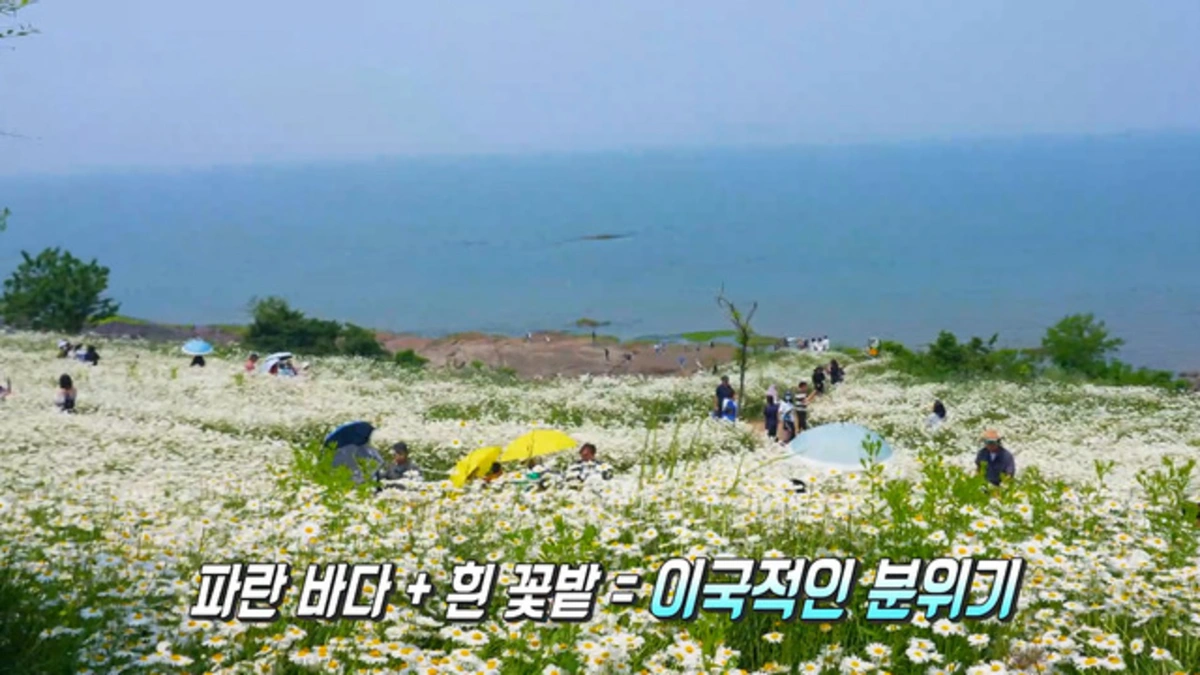생방송 투데이 다시보기