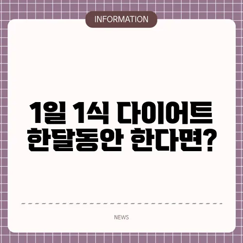 1일 1식 다이어트 한달동안 한다면?