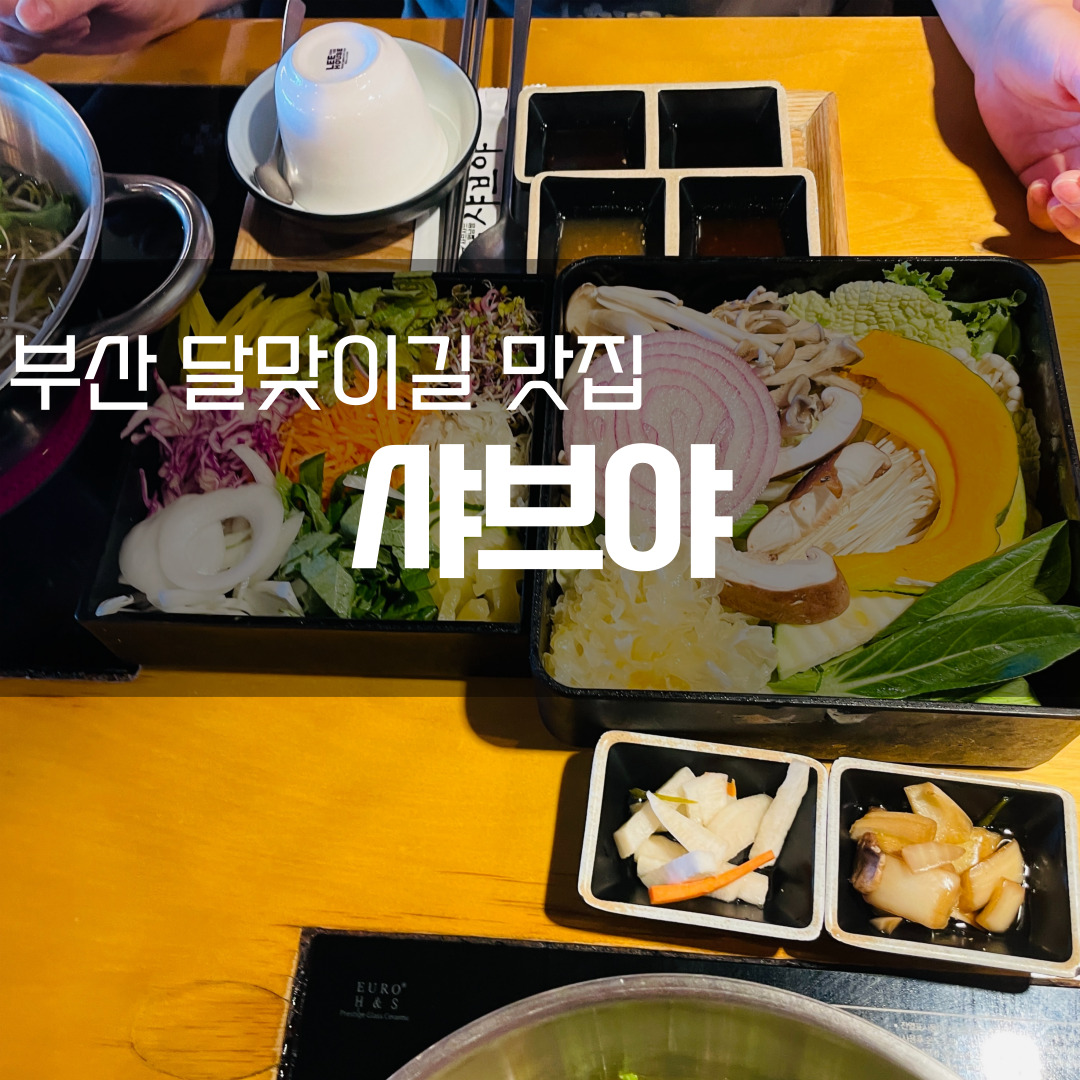 부산 달맞이길 맛집 샤브야