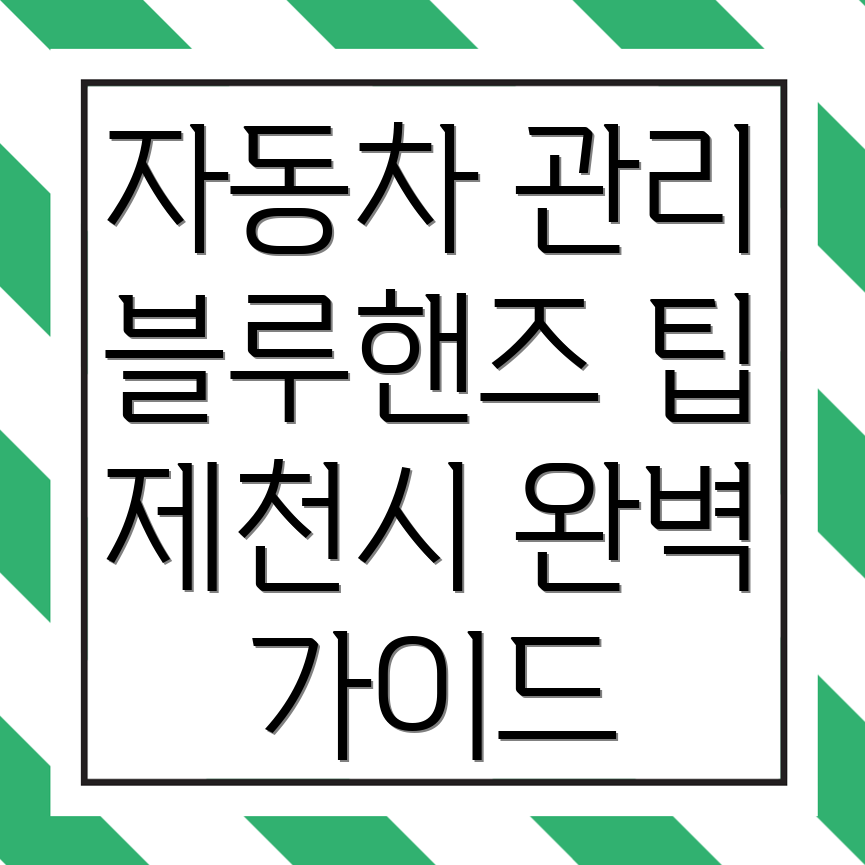 블루핸즈