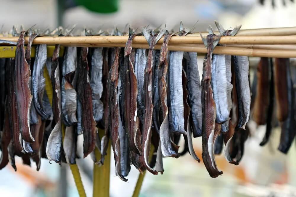 과메기