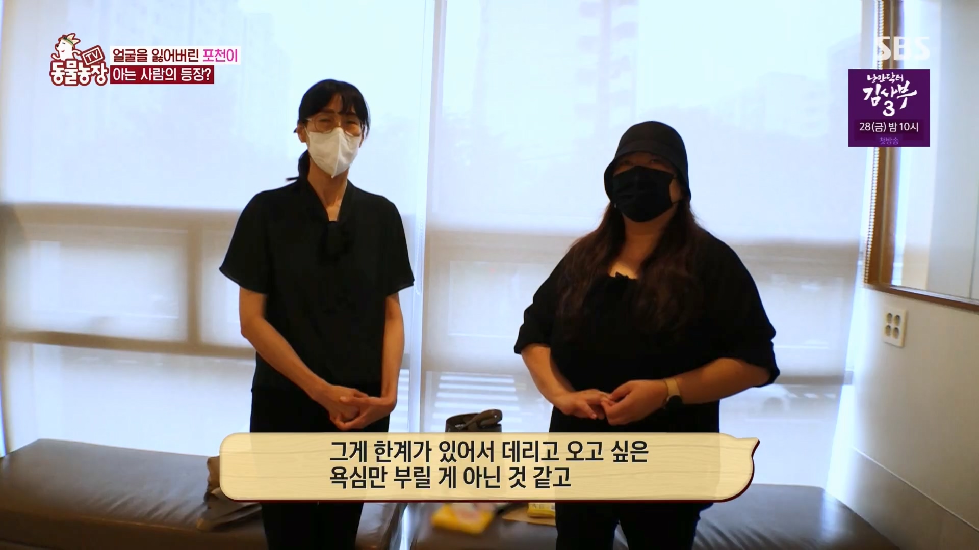 TV 동물농장.E1116.230416p.H264-F1RST.mp4_20230418_194213.915.jpg