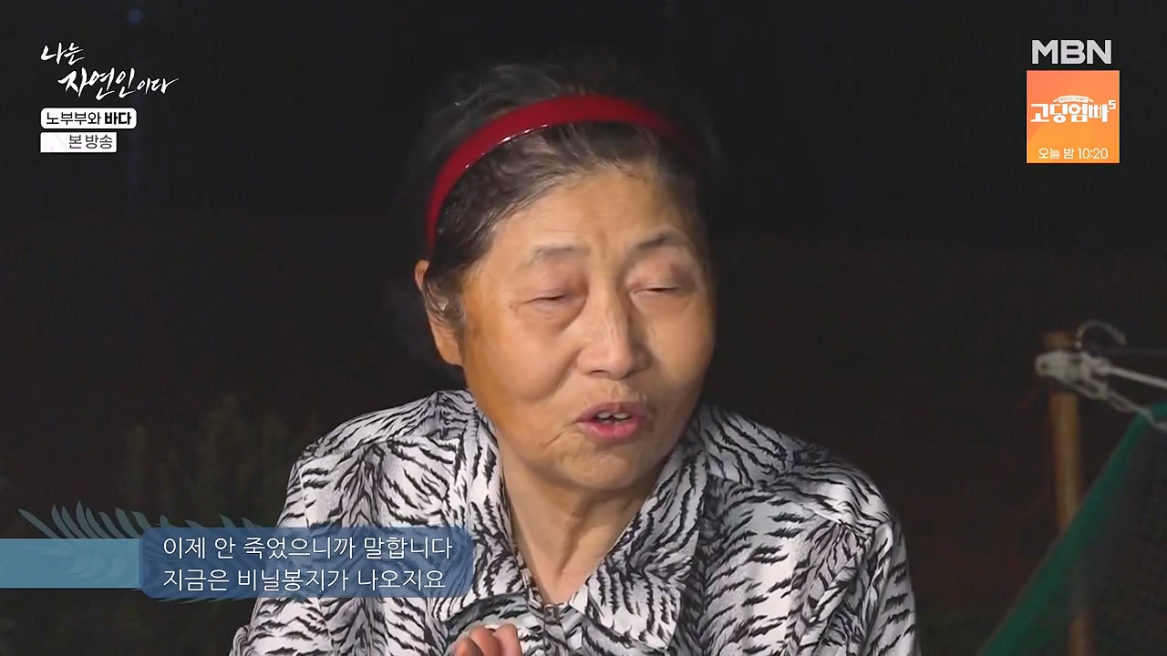 나는 자연인이다.E610.240620p-NEXT.mp4_20240620_194149.137.jpg