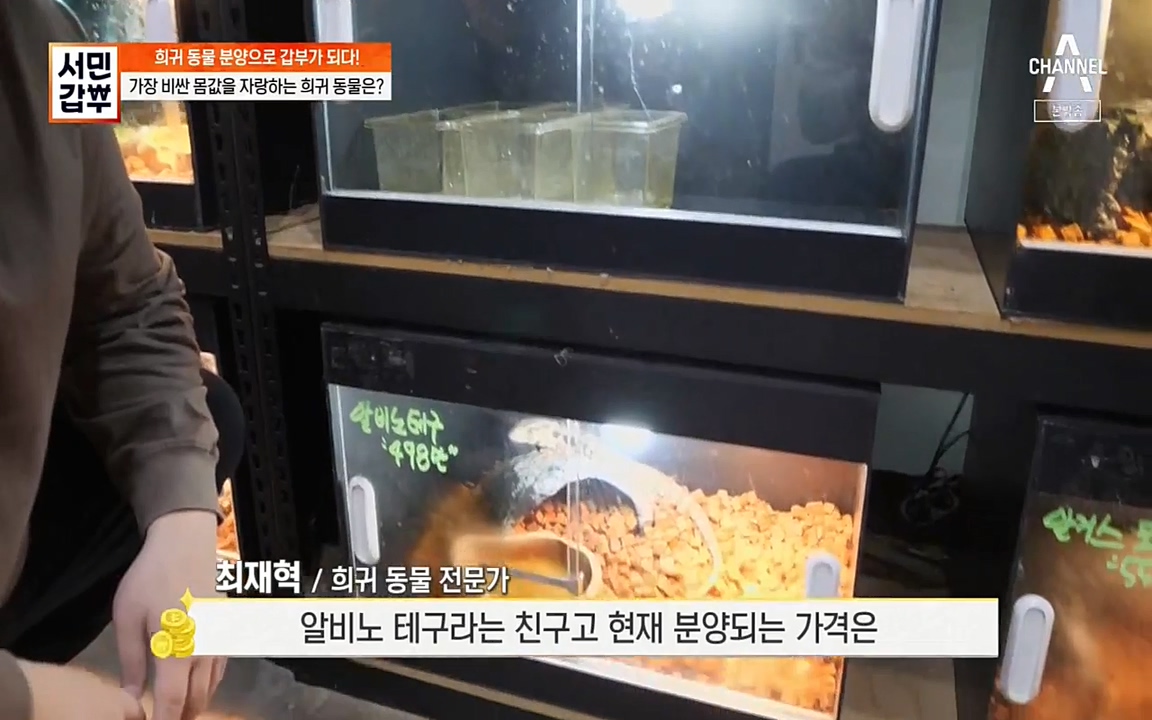 서민 갑부.E381.220431p-NEXT.mp4_20220501_174356.676.jpg